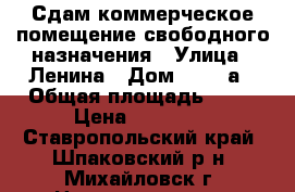 Сдам коммерческое помещение свободного назначения › Улица ­ Ленина › Дом ­ 169 а › Общая площадь ­ 75 › Цена ­ 20 000 - Ставропольский край, Шпаковский р-н, Михайловск г. Недвижимость » Помещения аренда   